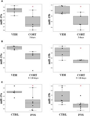 The Long-Term Effects of Early Life Stress on the Modulation of miR-19 Levels